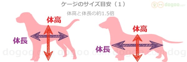 ケージ サイズ 選び方 大きさ