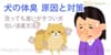 犬の体臭対策！原因と消臭するコツ