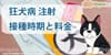 狂犬病のワクチン注射、接種時期と料金