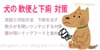 犬が軟便と下痢、原因と対策