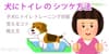 犬にトイレのシツケ、教え方と覚えるコツ