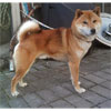 写真  898