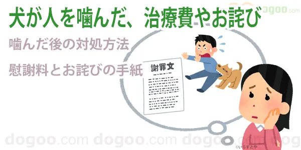 犬 他人 噛んだ お詫び 見舞金 慰謝料 対処
