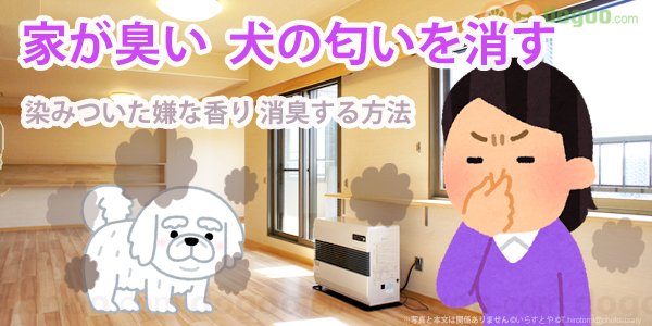 家が臭い 犬の匂いを消す方法 犬のq A集 Dogoo Com