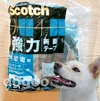 犬 コンセント 噛む 対策 スコッチ 強力両面テープ