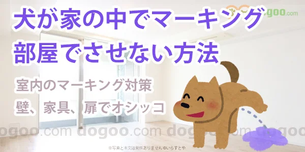 犬 マーキング 部屋 家 室内 させない 方法 やめさせる 対策