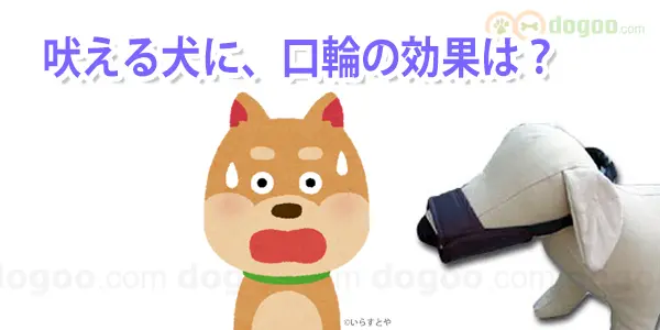 吠える 犬 口輪 マズル 効果 鳴く 無駄吠え 止まる