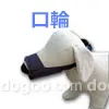  ց@R@ݕt