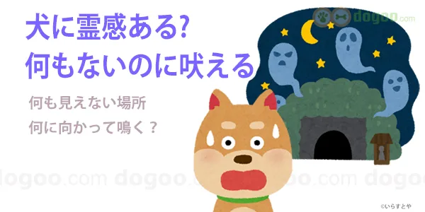 犬 霊感 ある