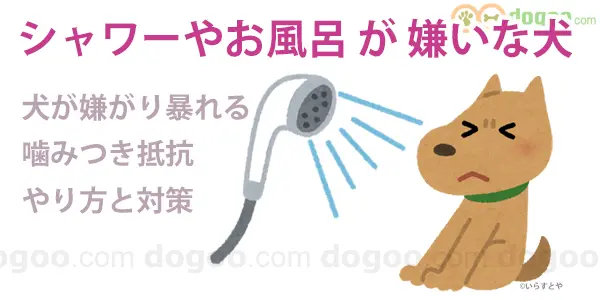 犬 お風呂 嫌がる 暴れる 怖がる 苦手 逃げる 対策