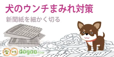 ウンコ まみれ 対策 新聞紙