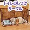 犬 うんちを踏まない方法 トイレのしつけ