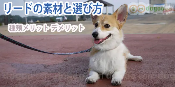 犬 リード おすすめ素材 メリット デメリット