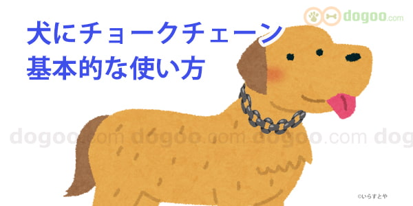 犬にチョークチェーン、基本的な使い方と注意点 | 犬のQ&A集 - dogoo.com