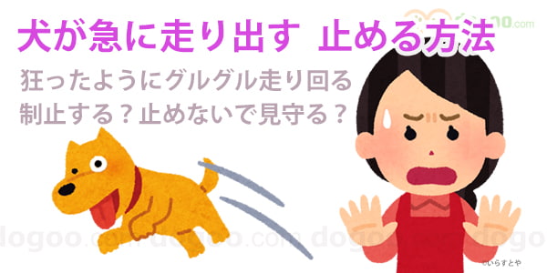  q }   o@ˑR R邮 ~߂@