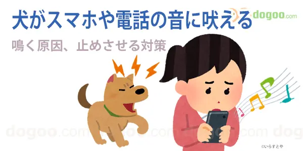犬 スマホ 電話の音 吠える 鳴く