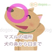  }Y ꏊ ǂ