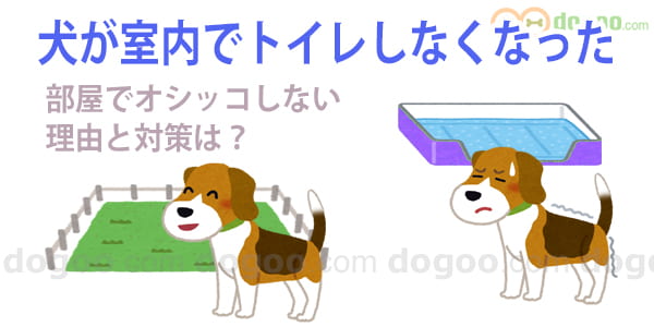 犬 室内 トイレ オシッコ しなくなった 理由 対処