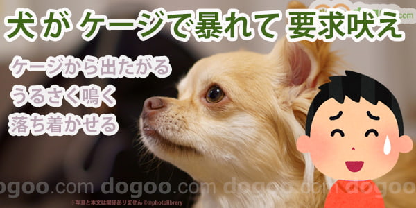 はさみ チャーミング 見せます ケージ に 入れる と 鳴く 犬 章 分析する 安全な