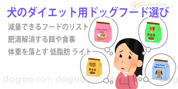 犬 ダイエット ドッグフード 減量 フード 餌 食事選び方