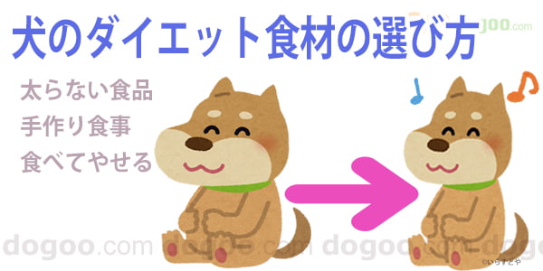 犬のダイエット食材の選び方 食べても太らない食品 犬のq A集 Dogoo Com