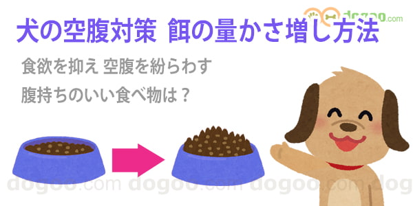 犬 ダイエット 量 かさ増し 腹持ち いい食べ物 方法 野菜