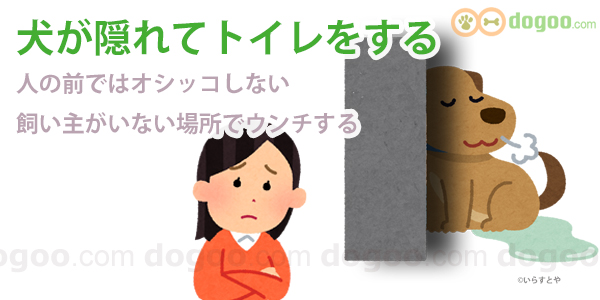犬 人前 トイレ しない 隠れてする 理由 対処
