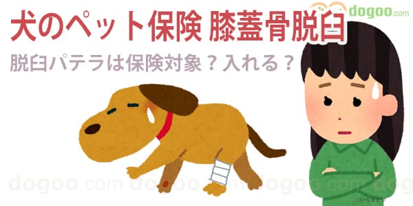 ペット保険 膝蓋骨脱臼 パテラ 既往症