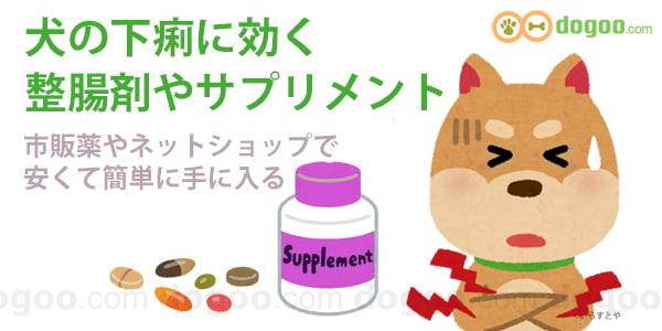 犬 サプリメント 下痢 軟便 サプリ 整腸剤