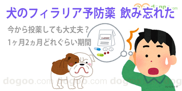 犬 フィラリア薬 飲み忘れた 1ヶ月 3ヶ月 飲ませてない