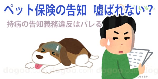 ペット保険 告知 バレない 持病 既往症
