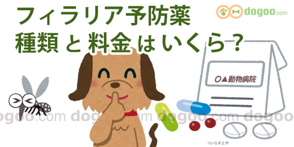 フィラリア予防薬 種類は 料金はいくら 犬のq A集 Dogoo Com