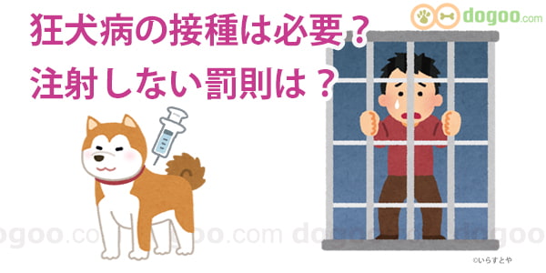 狂犬病の予防接種は必要 注射しないと罰則ある 犬のq A集 Dogoo Com