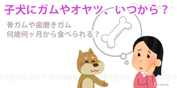 犬 子犬 ガム オヤツ 何ヶ月 食べて 骨型 大丈夫 グリニーズ