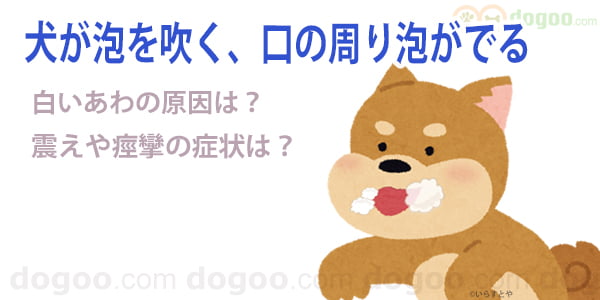 犬 口 泡 吹く 白い泡 口周り