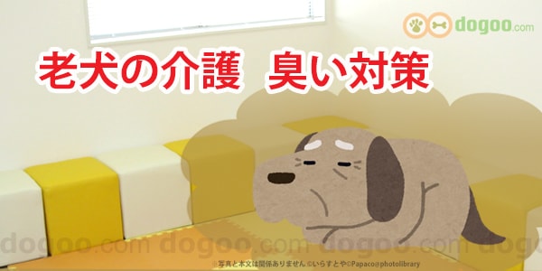 老犬の介護 嫌な臭いを消す体臭対策 犬のq A集 Dogoo Com