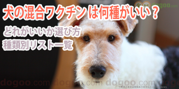 犬の混合ワクチン 種類や何種がいいのか選び方 犬のq A集 Dogoo Com