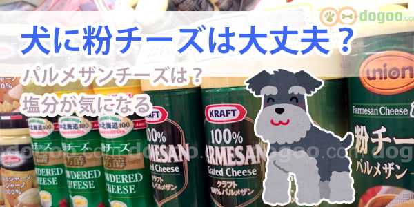 犬の食事 粉チーズやパルメザン チーズかけて大丈夫 犬のq A 質問と回答集 Dogoo Com