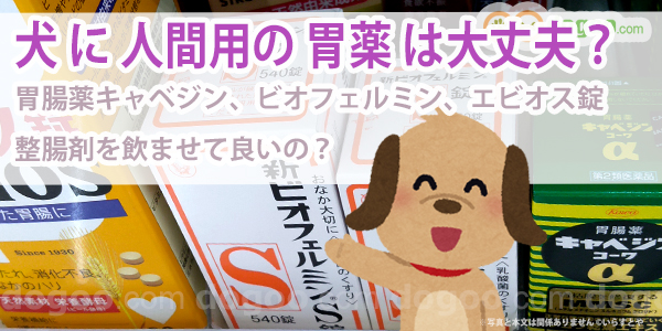 子犬 うんち ゆるい