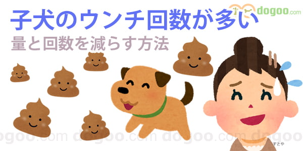 犬 ワクチン 接種 後 ぐったり 元気ない 寝る