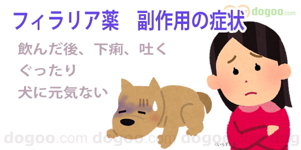  tBA \h 񂾌  qf f  p Ǐ