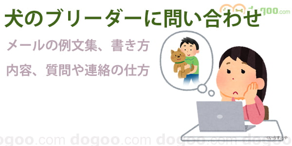 犬 ブリーダー メール 問い合わせ 例文集 書き方