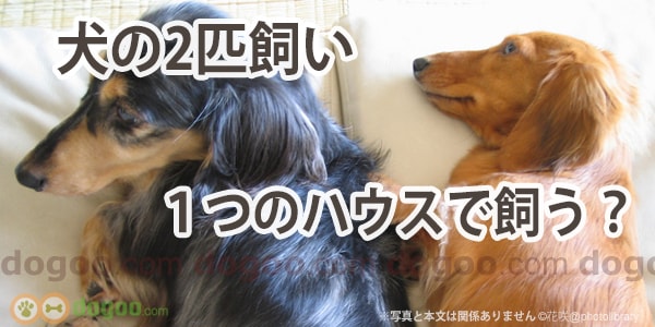 犬のゲージ パテオの2部屋有り仔犬からの飼育に向いています