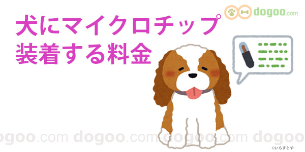 犬にマイクロチップ装着 料金を教えて 犬のq A集 Dogoo Com