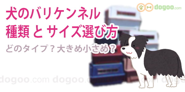 バリケンネルの種類と サイズの選び方 犬のq A集 Dogoo Com