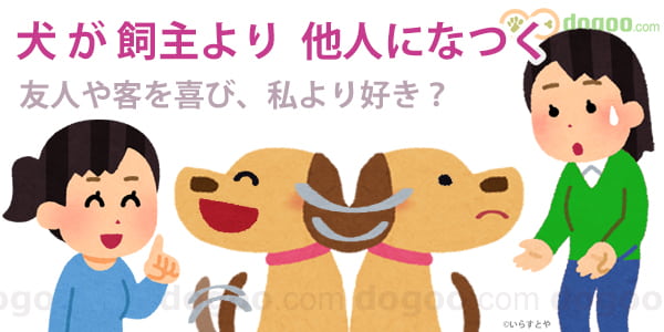犬 飼主より 友人 なつく 他人 客 好き