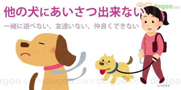 他の犬とあいさつ出来ない 仲良くなる方法は 犬のq A集 Dogoo Com