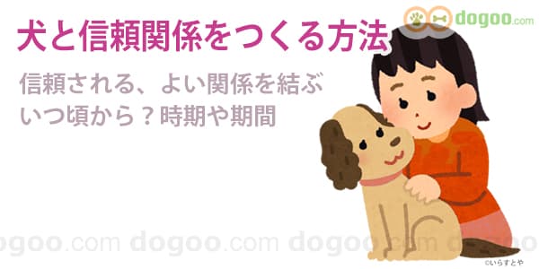 子犬　犬　信頼関係　つくる　方法　パートナー