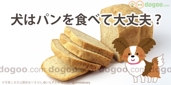 犬 パン 食べる 大丈夫