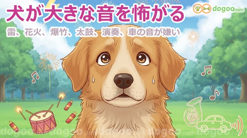 犬 大きな音 怖がる 対処方法